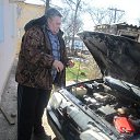 ���� ����, ������, 66 ��� - ��������� 27 ������� 2016 � ������ ���� ����������