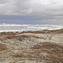  Skoj,  -  2  2016   --2015-16.