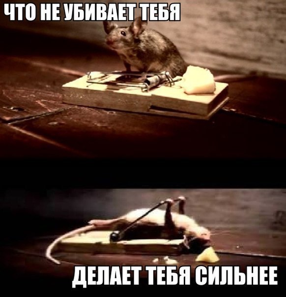 -  - 13  2016  04:43