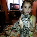  , , 40  -  18  2015      (2015)