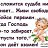 ���� �����, ����������� - ��������� 8 ������� 2015