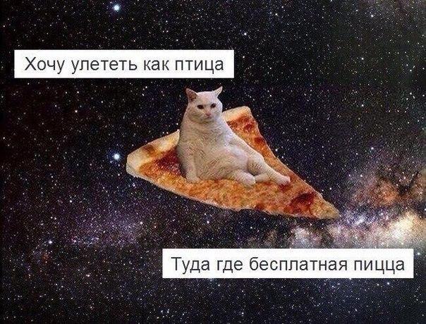     - 28  2015  17:05
