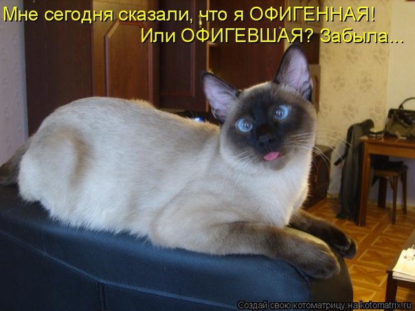   - 7  2015  16:11