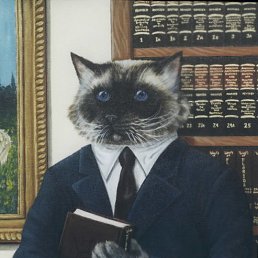 ����, ������, 38 ���