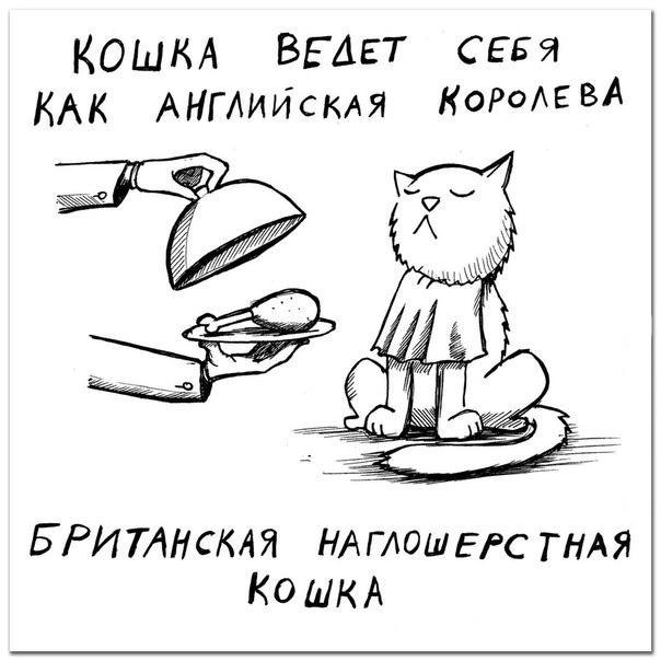 ... :) - 3