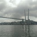  Pavel -, , 36  -  12  2016   Vladivostok, Russian island FEFU