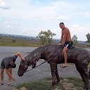 ���� �������, ���������, 42 ���� - ��������� 23 ������ 2016 � ������ ���� ����������