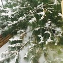 ���� �����, ��������, 51 ��� - ��������� 30 ������ 2016 � ������ �����