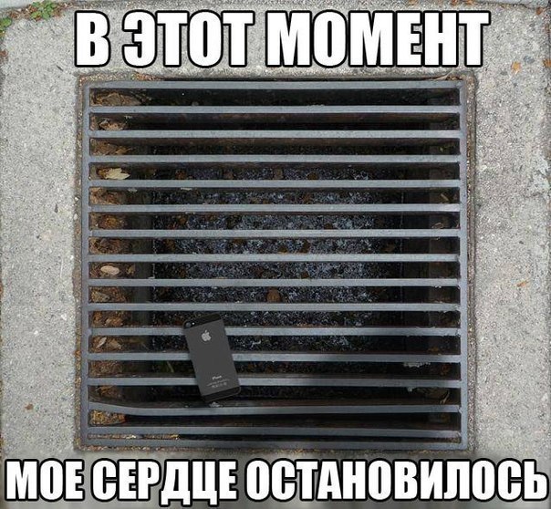    :D - 31  2016  13:38