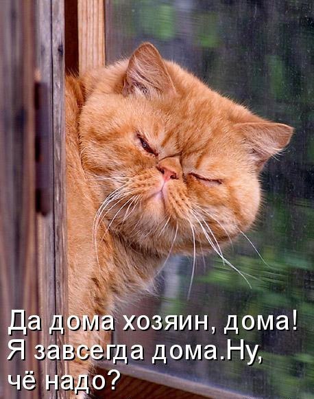       - 8  2015  18:33