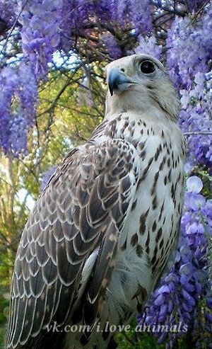    - 2  2015  10:00 - 2