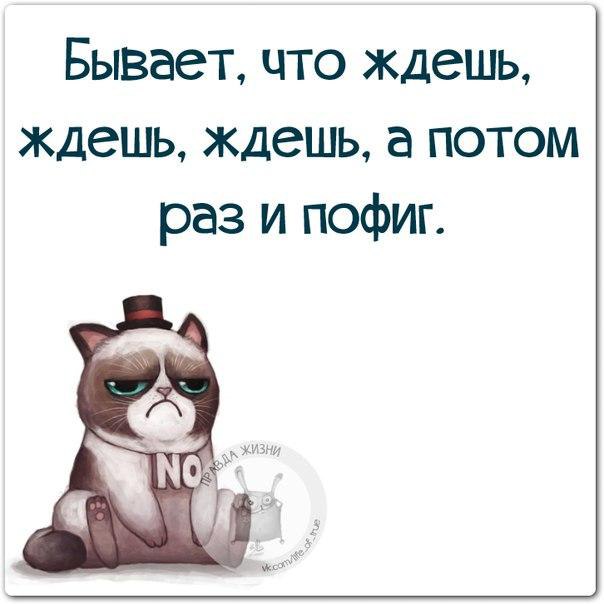   - 19  2015  15:17