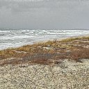  Skoj,  -  2  2016   --2015-16.