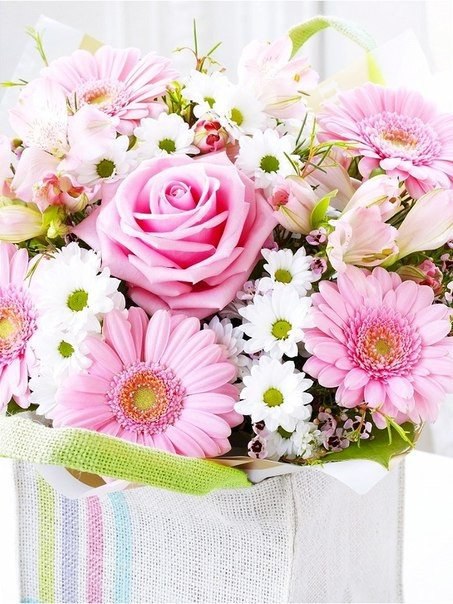    - 10  2015  05:29 - 3