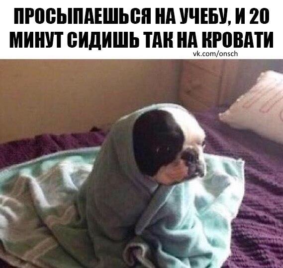 ? ,  ! - 4  2015  23:58