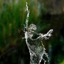 ���� Quiet, ������, 43 ���� - ��������� 30 ������� 2015 � ������ ���� ����������