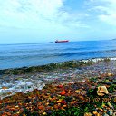 ���� Anatol, ������� - ��������� 18 ������� 2015 � ������ ���� ����������