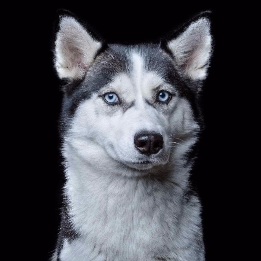      ,      .  ... - 7