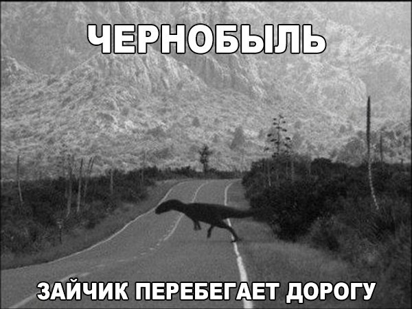  - 10  2015  10:17