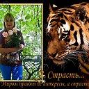  , , 62  -  21  2016    !!!