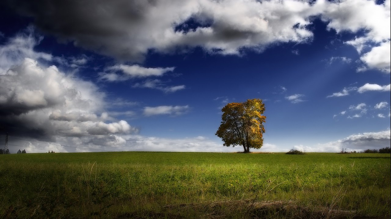    - 25  2015  08:46 - 4