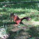 ���� ���, ���������, 73 ���� - ��������� 8 ������ 2016 � ������ ���� ����������