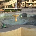 ���� Alex, ������, 65 ��� - ��������� 27 ������ 2016 � ������ �Egypt'16�