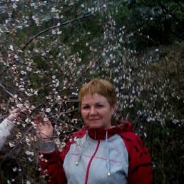 ���� ����� ����������, ����, 58 ��� - ��������� 29 �������� 2015