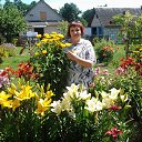  , , 55  -  10  2015     .