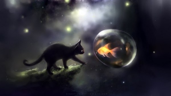 Magic the cookie - 31  2015  16:19 - 6