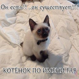 ���� ���, ������ - ��������� 29 ������� 2016