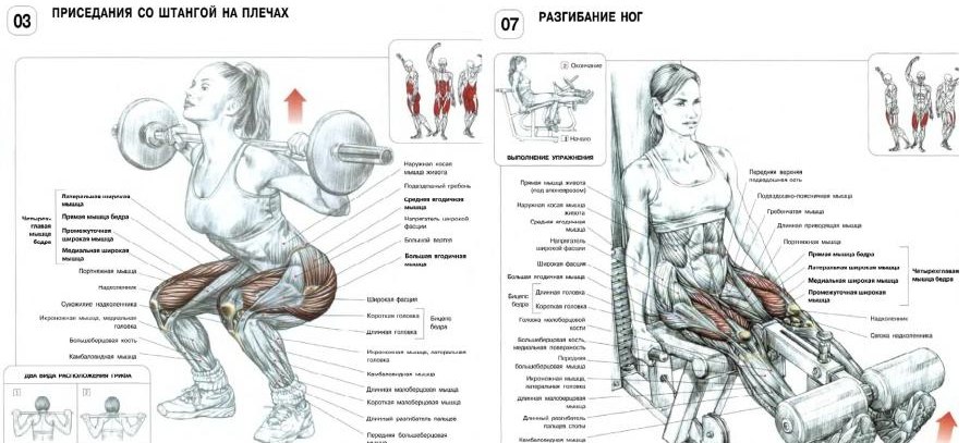 Как накачать верхнюю часть ягодиц в тренажерном зале для женщин