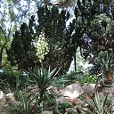  , , 60  -  4  2015   25.10.15.   