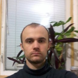 Vasea, , 37 