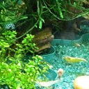 ���� ������, ������, 59 ��� - ��������� 21 ������� 2015 � ������ ���� ����������