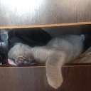 ���� ����, �����-���������, 39 ��� - ��������� 29 ������ 2016 � ������ ���� ��