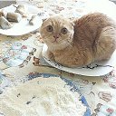 ���� �������, �����-��������� - ��������� 6 ������� 2015 � ������ ��������� ���� � fotiko.ru�