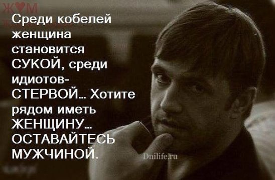  - 11  2016  15:09