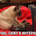 ���� �������, ������ - ��������� 12 ������� 2015 � ������ ���������
