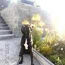  ,  -  20  2015   Timeline Photos