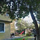 ���� ����, ������-����, 65 ��� - ��������� 6 ������ 2016 � ������ ���� ����������