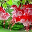 ���� ����, ������, 44 ���� - ��������� 2 ������� 2015 � ������ ���� ����������