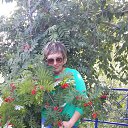 ���� �����, �����������, 44 ���� - ��������� 25 �������� 2015