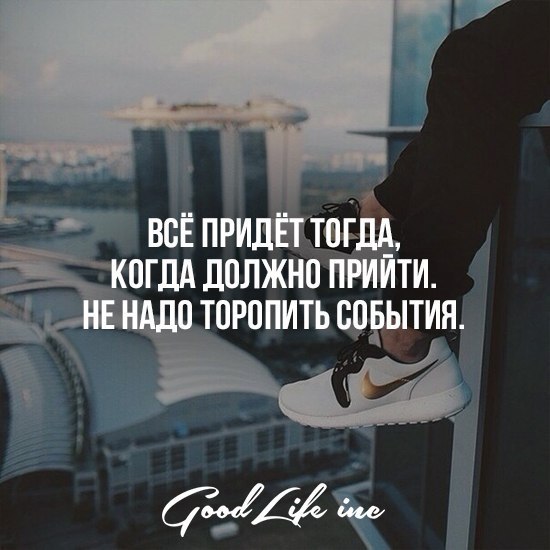 Good Life Inc - 1  2016  19:57