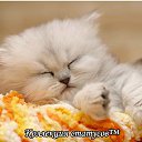 ���� ����, ������ - ��������� 1 ����� 2016 � ������ ������ ��������