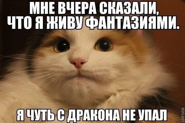     - 8  2015  09:15