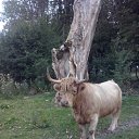  Vaclovas, , 69  -  8  2015   eto litva