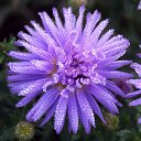 ������� 2015 �� ������� �����ܻ