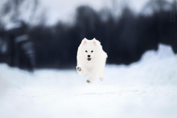   - 5