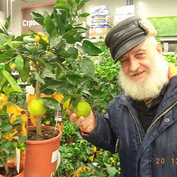 ���� ���������, �������, 74 ���� - ��������� 19 ������� 2016